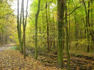 Pronájem bytu 2+kk, Praha - Libuš, K lukám, 43 m2