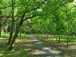 Pronájem kanceláře, Praha - Chodov, Tomíčkova, 8000 m2