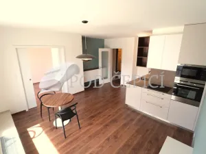 Pronájem bytu 2+kk, Brno - Ponava, U Červeného mlýna, 67 m2