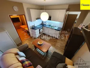 Pronájem bytu 1+1, Ústí nad Labem, Švestková, 38 m2