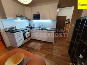 Pronájem bytu 1+1, Ústí nad Labem, Švestková, 38 m2