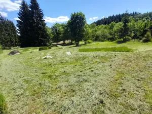 Prodej pozemku pro bydlení, Bedřichov, 2313 m2