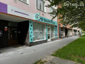 Pronájem bytu 2+kk, Olomouc, 41 m2