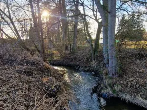 Prodej chaty, Poběžovice, 65 m2
