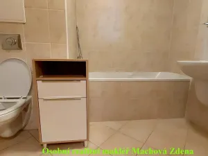 Pronájem bytu 2+kk, Praha - Strašnice, Gutova, 55 m2