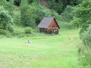 Dražba louky, Velké Karlovice, 24946 m2