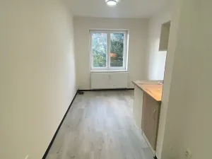 Pronájem bytu 1+kk, Praha - Hlubočepy, Na Zlíchově, 20 m2