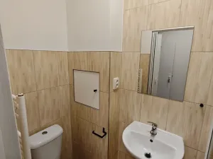Pronájem bytu 1+kk, Praha - Hlubočepy, Na Zlíchově, 20 m2