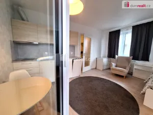 Pronájem bytu 1+kk, Praha, Strnadových, 33 m2