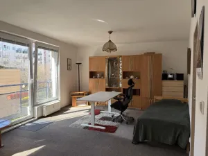 Prodej bytu 1+kk, Praha - Vysočany, bratří Dohalských, 40 m2