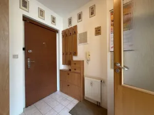 Prodej bytu 1+kk, Praha - Vysočany, bratří Dohalských, 40 m2