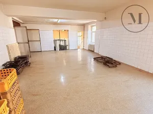 Prodej rodinného domu, Netolice, Bavorovská, 340 m2