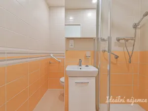 Pronájem bytu 1+kk, Brno - Žabovřesky, Voroněžská, 26 m2