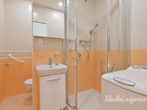 Pronájem bytu 1+kk, Brno - Žabovřesky, Voroněžská, 26 m2