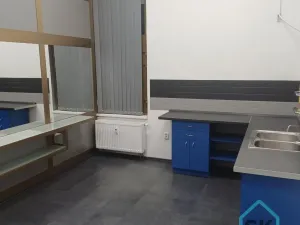 Pronájem komerční nemovitosti, Krnov - Pod Bezručovým vrchem, Mikulášská, 30 m2