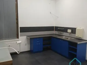 Pronájem komerční nemovitosti, Krnov - Pod Bezručovým vrchem, Mikulášská, 30 m2