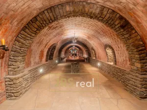 Prodej rodinného domu, Čejkovice, 468 m2