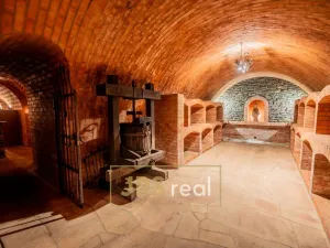 Prodej rodinného domu, Čejkovice, 468 m2