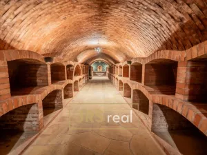 Prodej ubytování, Čejkovice, 468 m2