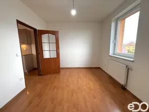 Pronájem bytu 2+kk, Holohlavy, Dlouhá, 38 m2