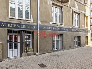 Pronájem obchodního prostoru, Praha - Vršovice, Vršovická, 233 m2