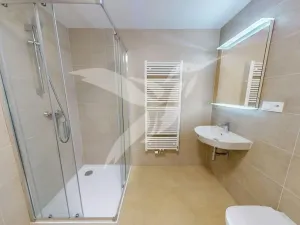 Pronájem bytu 1+kk, Plzeň, Zahradní, 35 m2