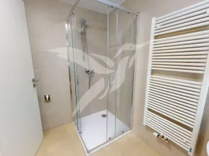 Pronájem bytu 1+kk, Plzeň, Zahradní, 35 m2