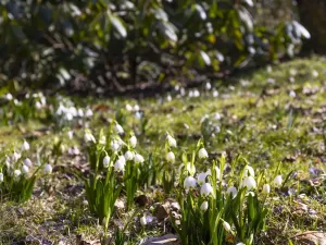 Prodej chaty, Stříbrná Skalice - Hradec, 50 m2