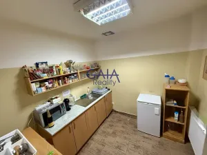 Pronájem obchodního prostoru, Hodonín, Příční, 364 m2