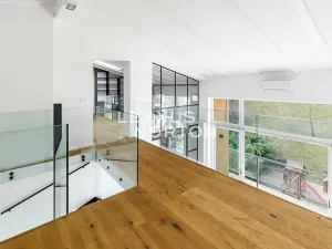 Pronájem bytu 6+kk a větší, Praha - Bubeneč, Mlýnská, 325 m2