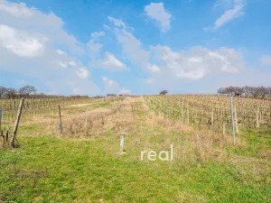 Prodej ubytování, Bořetice, 90 m2