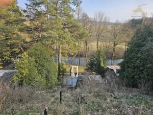 Prodej chaty, Dolní Lukavice - Lišice, 100 m2