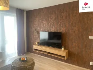 Pronájem bytu 2+kk, Plzeň, Papírnická, 55 m2