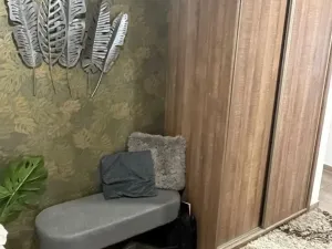 Pronájem bytu 2+kk, Plzeň, Papírnická, 55 m2