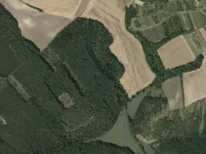 Prodej lesa, Klobouky u Brna, 11688 m2