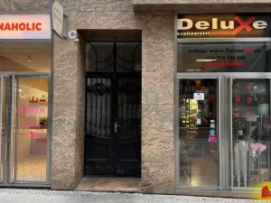 Pronájem obchodního prostoru, Brno - Brno-město, 26 m2