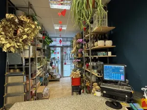 Pronájem obchodního prostoru, Brno - Brno-město, 26 m2