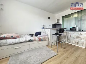 Pronájem bytu 1+kk, České Budějovice, Puklicova, 21 m2