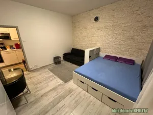 Pronájem bytu 1+kk, Praha - Nové Město, Krakovská, 36 m2