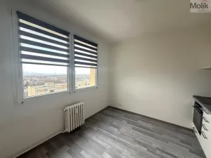 Pronájem bytu 1+1, Litvínov - Horní Litvínov, Tylova, 37 m2