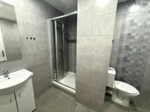 Pronájem bytu 1+1, Litvínov - Horní Litvínov, Tylova, 37 m2