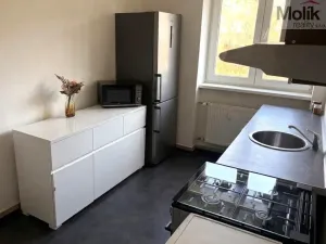 Pronájem bytu 1+1, Litvínov - Horní Litvínov, Ladova, 39 m2