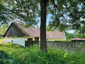 Prodej chalupy, Sněžné, 200 m2