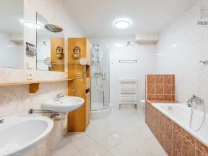 Prodej bytu 4+kk, Brno, 167 m2