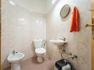 Prodej bytu 4+kk, Brno, 167 m2