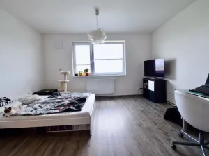 Pronájem bytu 1+kk, Brno - Černá Pole, třída Generála Píky, 30 m2