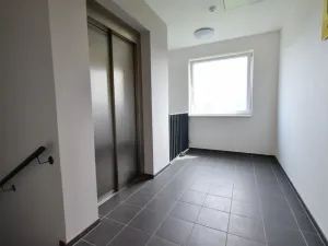 Pronájem bytu 1+kk, Brno - Černá Pole, třída Generála Píky, 30 m2