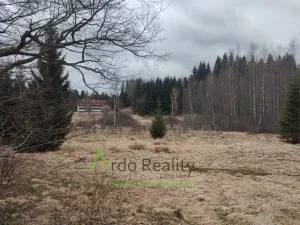 Prodej louky, Přední Výtoň, 13899 m2