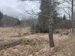 Prodej louky, Přední Výtoň, 13899 m2