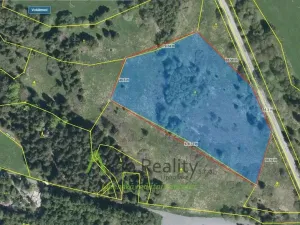 Prodej louky, Přední Výtoň, 13899 m2